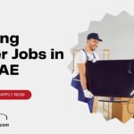 Packing Helper Jobs in the UAE